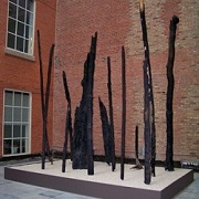 Image of Alan Sonfist's Trees of Aspen sculpture